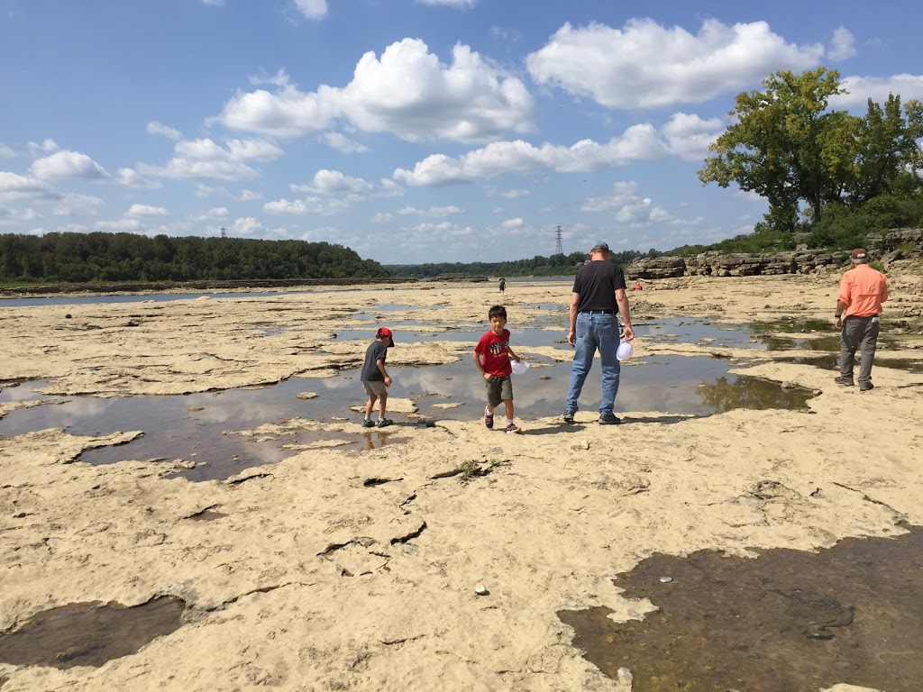 A Time Machine to the Paleozoic: Exploring Falls of the Ohio State Park